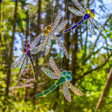 Stained Glass Dragonfly
