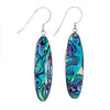 Paua Earrings